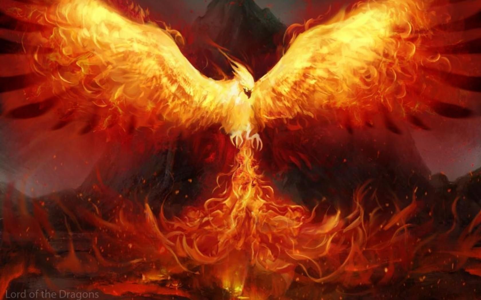 Rising from The Ashes Like “The Phoenix”